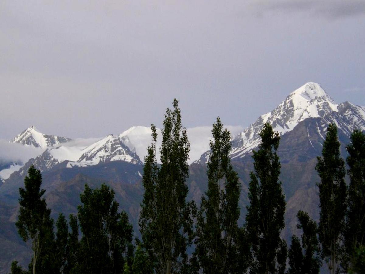 Kidar Hotel Leh Luaran gambar